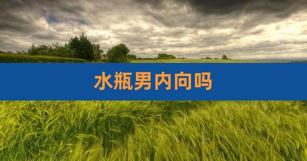 水瓶男内向还是外向