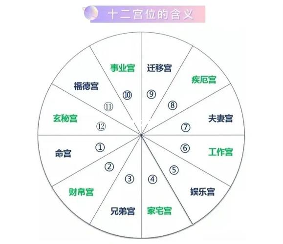 什么是十二宫