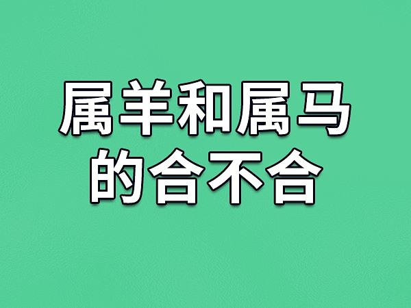 解析生肖马的命运与爱情