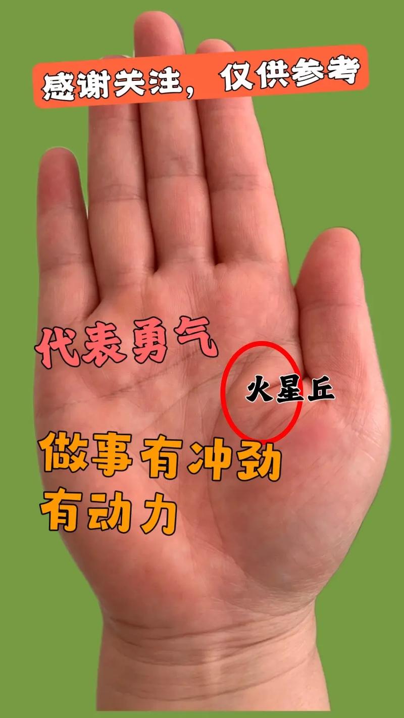 手纹相上各大星丘代表了些什么?