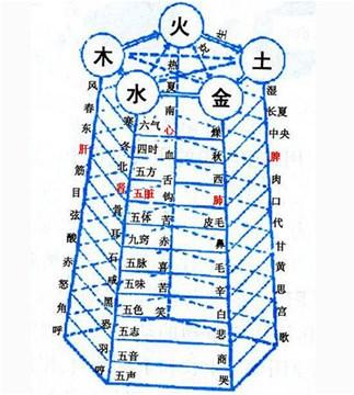 什么是八字寿元星