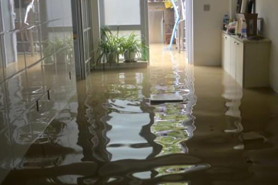 家里泡水了预示什么