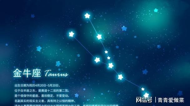 表面傻但城府深的星座