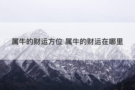 2021年属牛财运方位