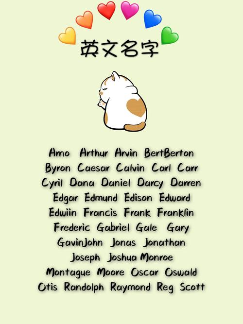 独特的创意宠物名字新颖有趣