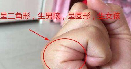 解析孕妇会生龙凤胎的手掌纹路