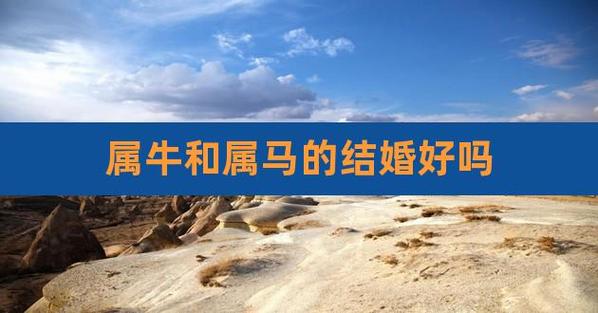 2021年属牛和属马人结婚好吗