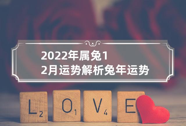 属兔2022年12月爱情运程