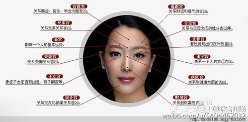 面相一百招 面相实用技法篇150