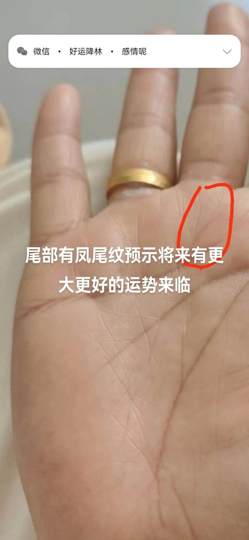 大富大贵的手相特征女人