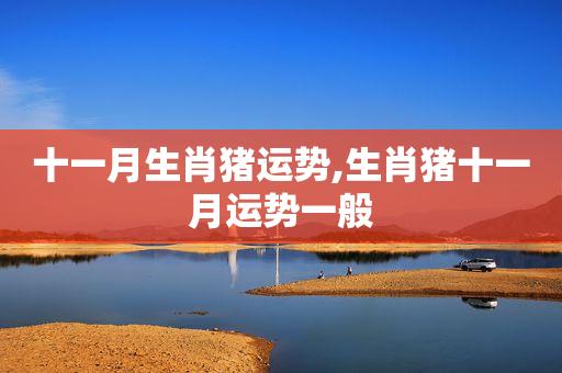 2018年11月属猪财运怎么样