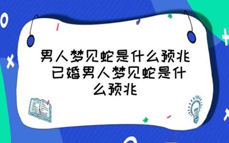 已婚男人梦见蛇挡道