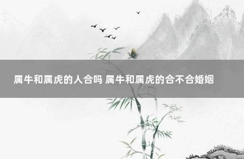 牛和虎婚姻相配吗