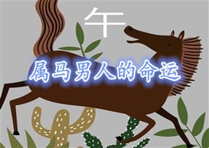 属马男人疼爱你的表现