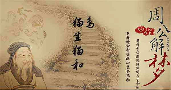 梦见猫和鸟