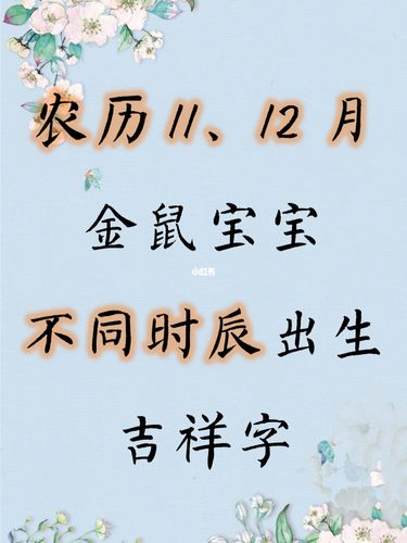 什么时辰出生的鼠宝宝好