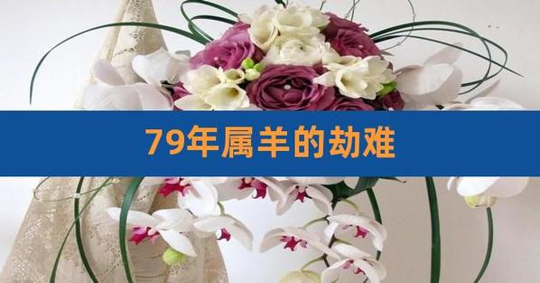 1979属羊运程在2022年有劫难吗