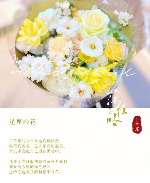 星座与鲜花