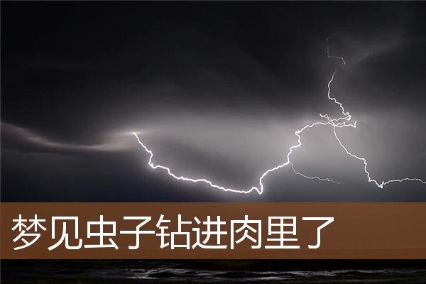 梦见虫子钻进自己包里