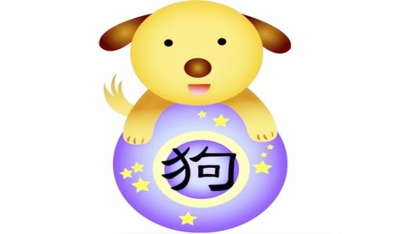 老先生算;这3个月出生的属狗人