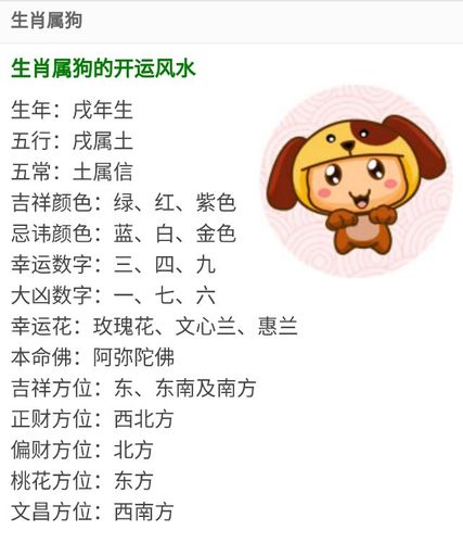 属兔人开运风水知识
