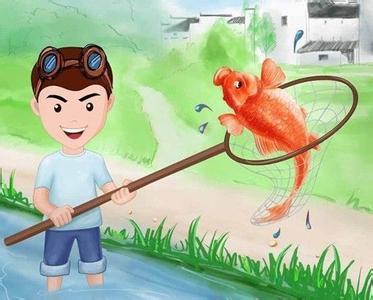 梦见拾鱼