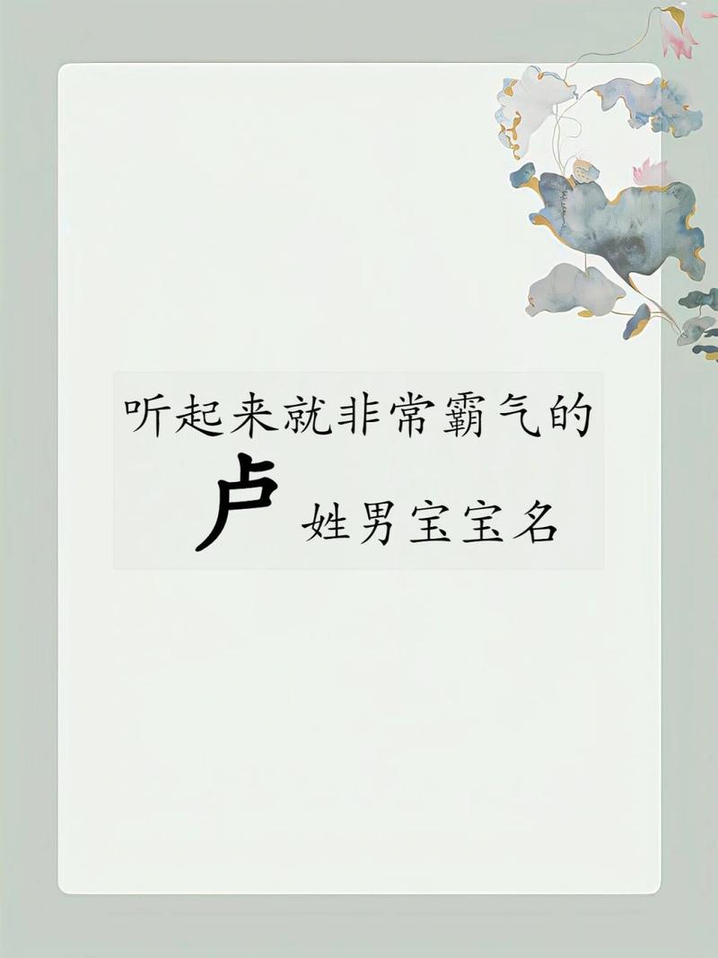 八字姓卢的男孩名字大全集,姓卢的八字起名