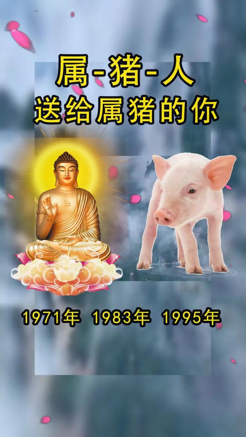 19年生肖属猪的人哪年发财