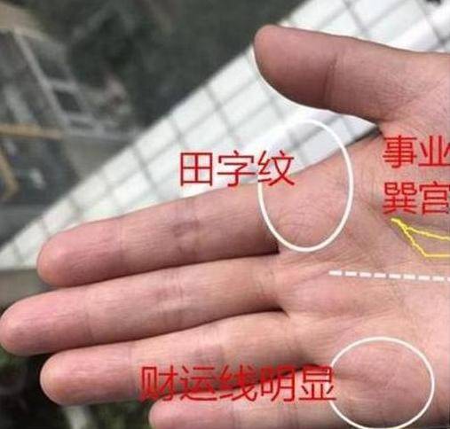 有钱男人的手相有何特征