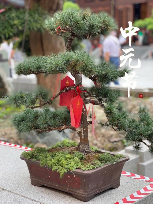 中元节第二天可以结婚吗