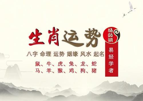 对家人会负责到底的生肖大全