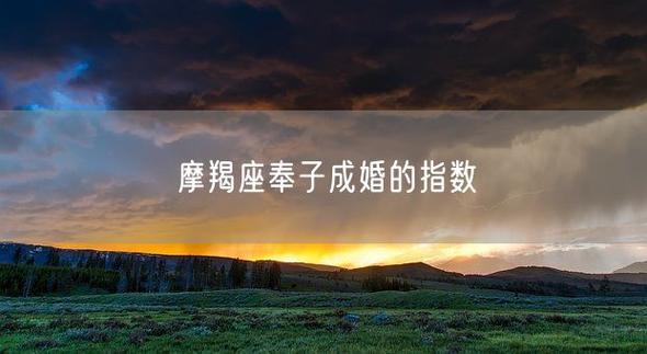 摩羯座奉子成婚的概率和理由