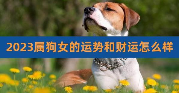 属狗人2022年春节桃花运势分析