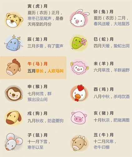 十二生肖出生月份解读之猴