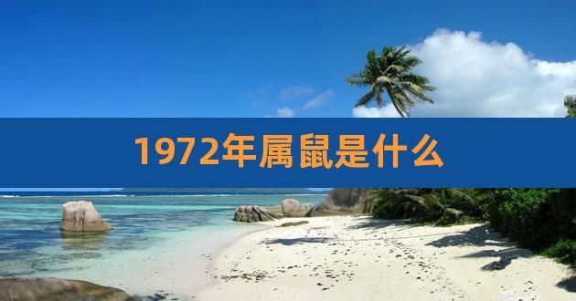 1972年属鼠的属于什么命