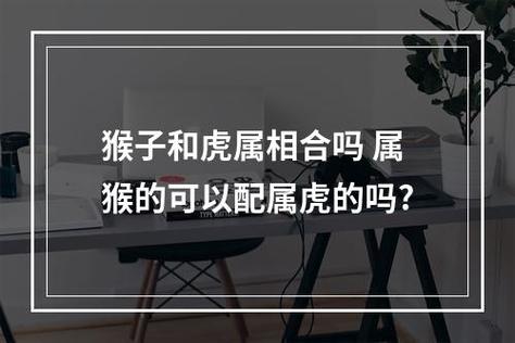 女猴男虎婚姻会永久吗?属猴子时出生好不好?