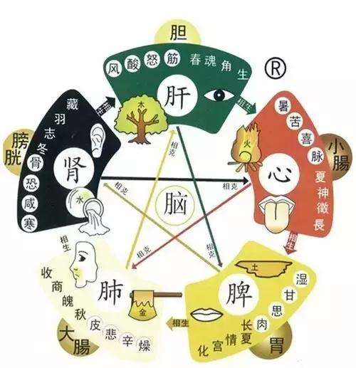 五行与身体健康的关系