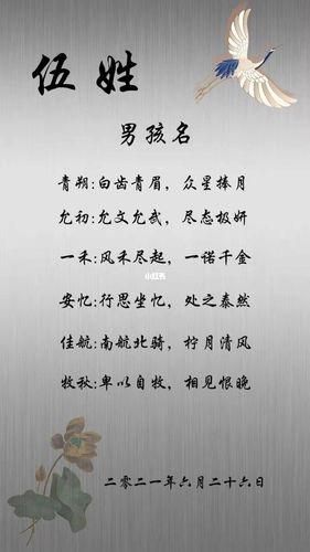 姓伍男孩子名字独特有气质的名字推荐