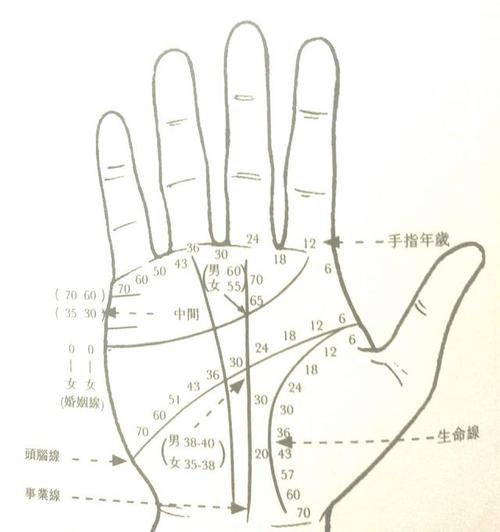 事业线最准的年龄位置