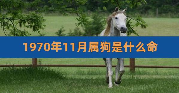 狗人生于丑时命运好吗？