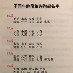 好听经典搞怪的宠物名字大全