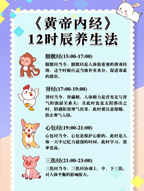 12时辰养生要点,有利健康长寿
