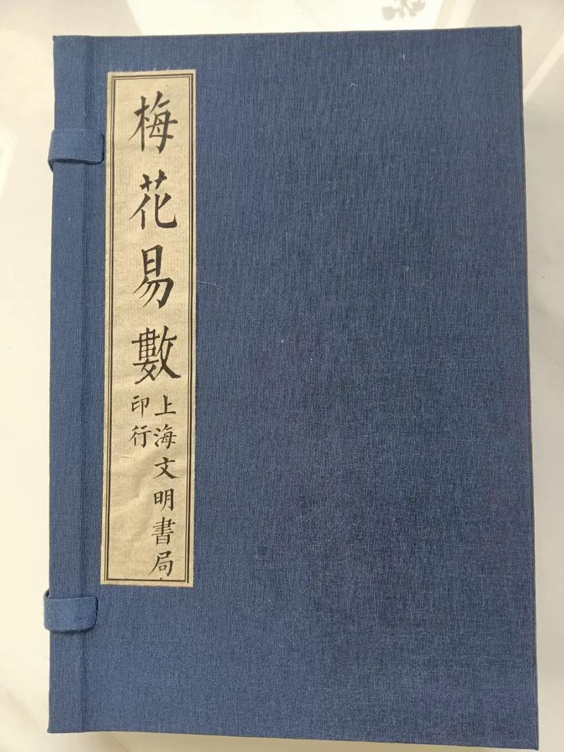 梅花易数精解:梅花易数的起源