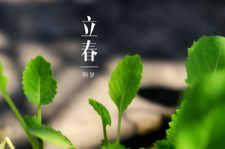 2月4日立春,老传统“吃三食,躲三人”,分别指的是什么?