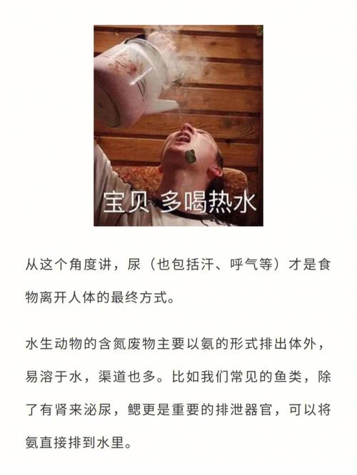 小鸟拉屎在头上是不是有不好的预兆
