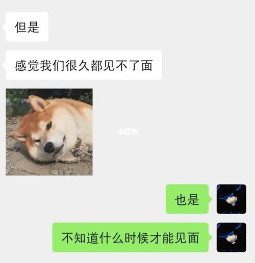 属羊人在什么状态下最会和人暧昧