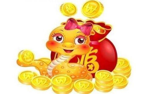 属猪的人蛇年运气怎么样