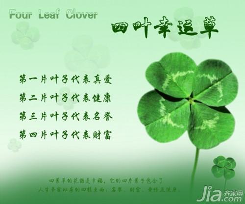 梦见四叶草有什么说法
