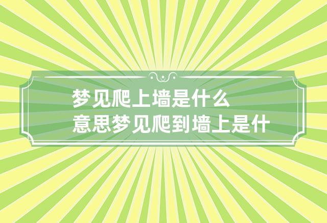 梦见上墙是什么意思
