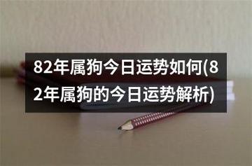 2019年8月属狗的人事业运势怎么样,如何提升事业运